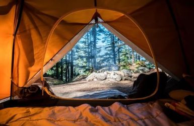 Plan A Camping Trip: 5 Things To Do