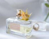 Best Smelling City Perfume Picks You Should Try