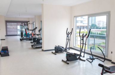 Best Cardio Equipments From MyTopia