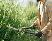 Must-Have Tools for Beginner Gardeners from Hoselink