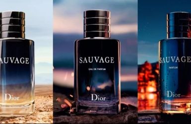 Dior Sauvage Dossier.Co – Full Review