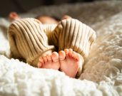 Adorable Baby Comfort Items from Wayfair
